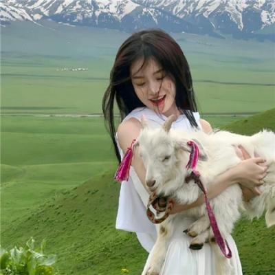 泰山的复仇